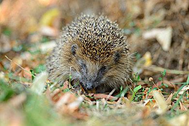 真人互动影像作品《重生了还要我谈恋爱？》Steam页面 发售日待定